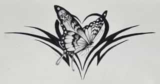 Butterflies