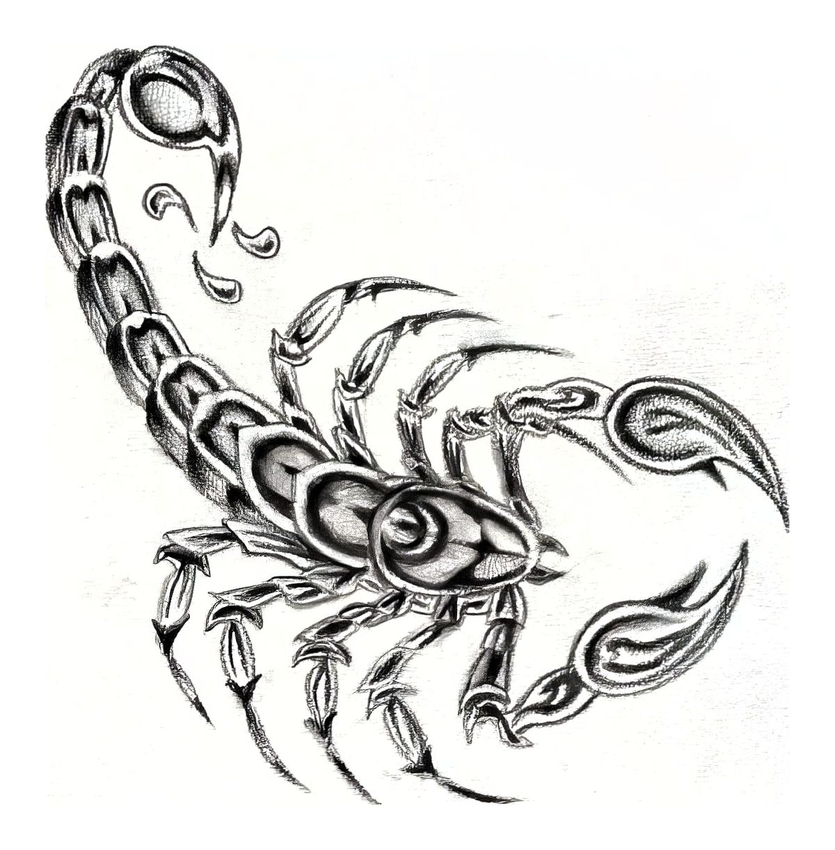 Intricate Scorpion