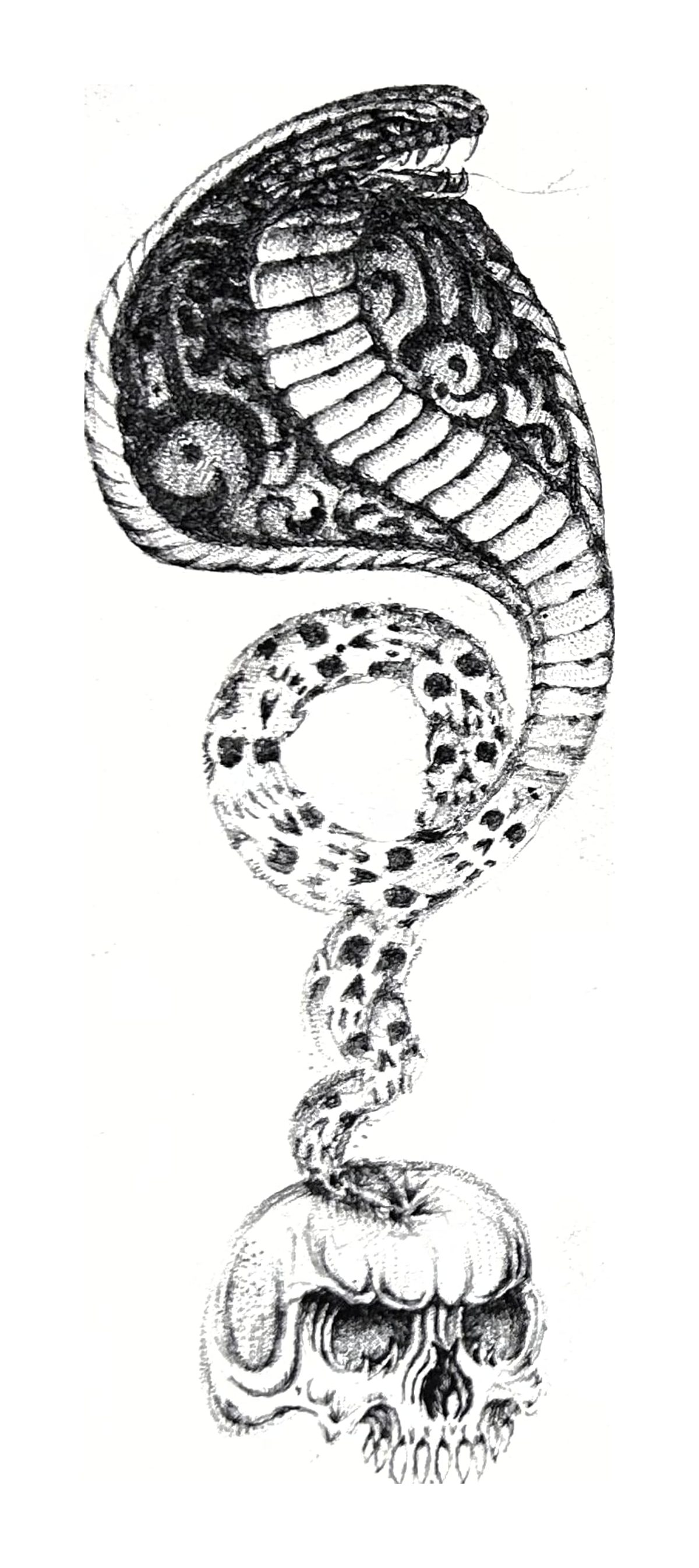 Serpent and Skull Fine Line