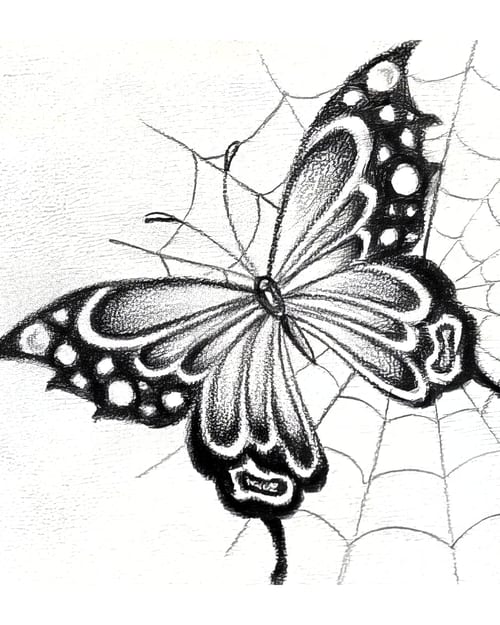 Insects flash