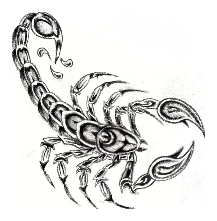Intricate Scorpion