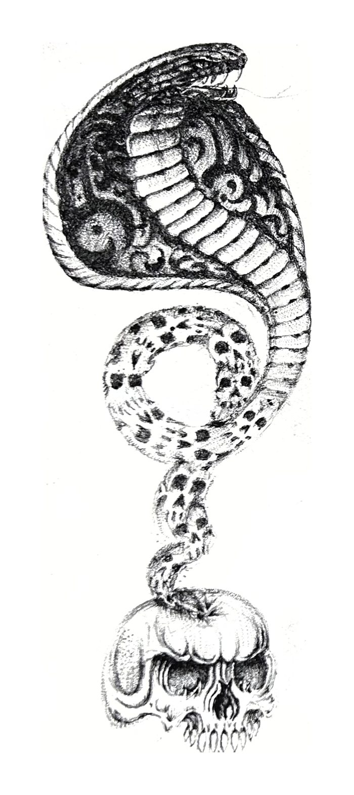 Serpent and Skull Fine Line
